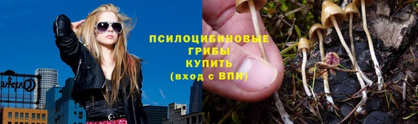 PSILOCYBIN Вяземский