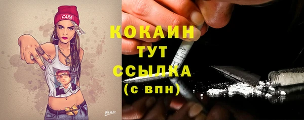 PSILOCYBIN Вяземский