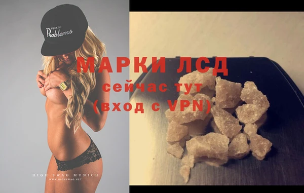 PSILOCYBIN Вяземский