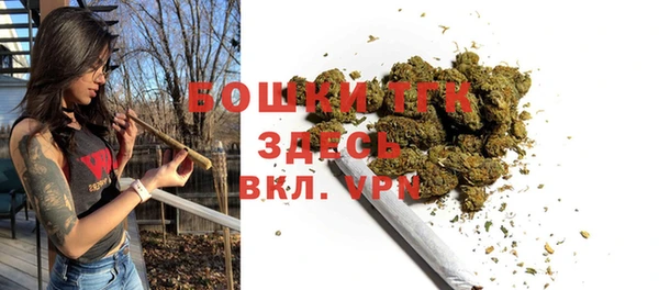 PSILOCYBIN Вяземский