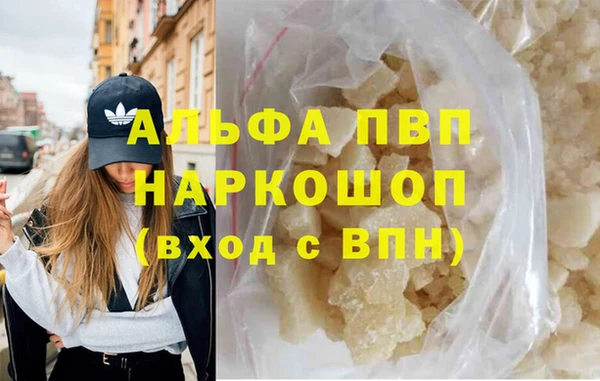 PSILOCYBIN Вяземский
