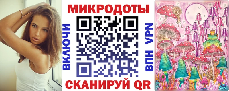kraken как зайти  Власиха  площадка как зайти  Галлюциногенные грибы Cubensis 